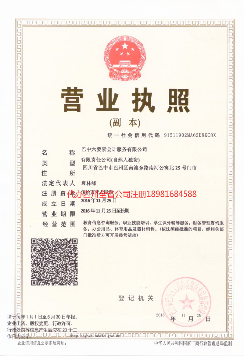 新泰新泰六要素会计服务有限公司