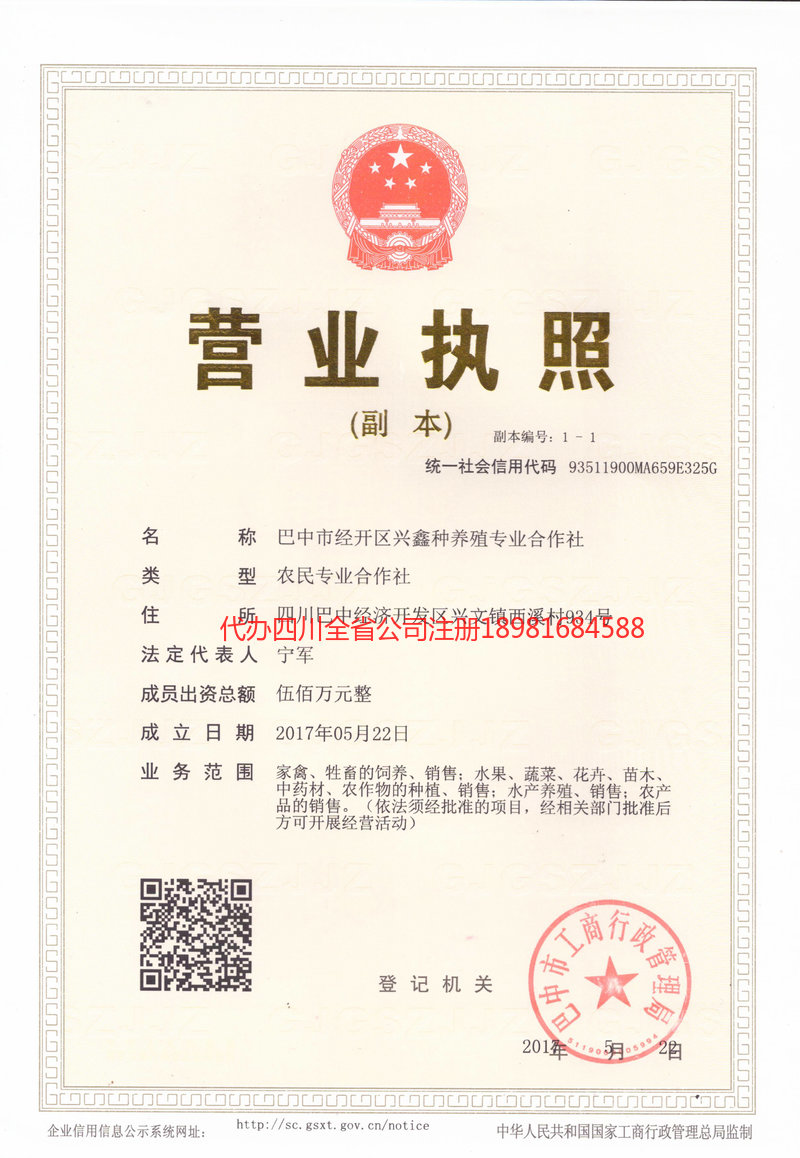 新泰新泰兴鑫种养殖专业合作社