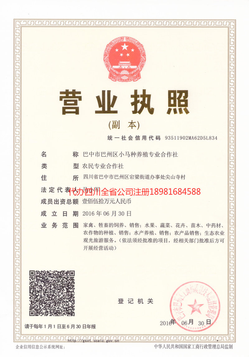 新泰新泰小马种养殖专业合作社